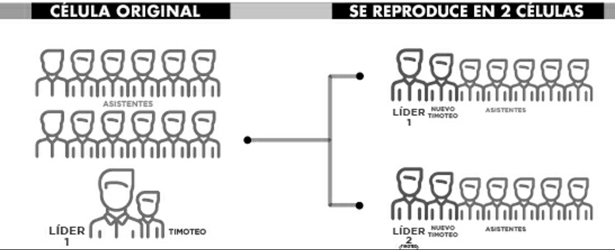 Multiplicación 8: Peligros y abusos – MINASCHURCH